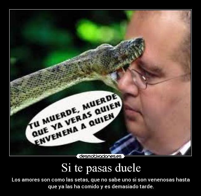 Si te pasas duele - Los amores son como las setas, que no sabe uno si son venenosas hasta
que ya las ha comido y es demasiado tarde.