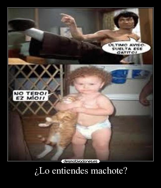 ¿Lo entiendes machote? -