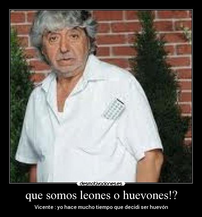 que somos leones o huevones!? - Vicente : yo hace mucho tiempo que decidi ser huevón