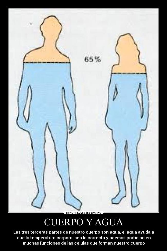 CUERPO Y AGUA - 