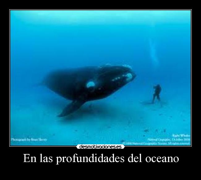 carteles dannyesku99 desmotivaciones