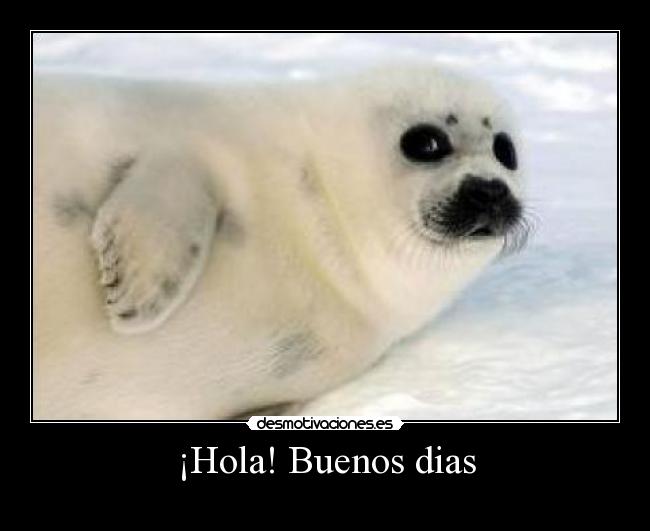 ¡Hola! Buenos dias -