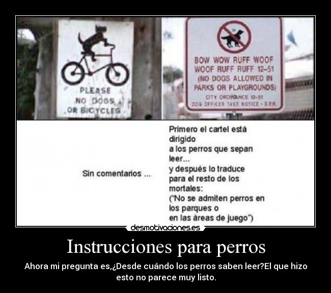 Instrucciones para perros -