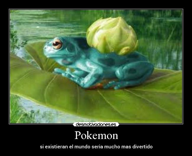 Pokemon -