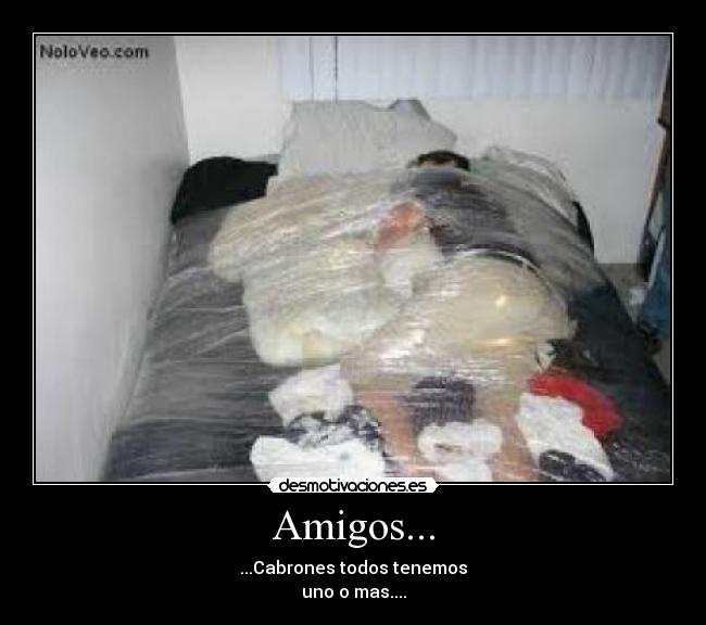 Amigos... - ...Cabrones todos tenemos
uno o mas....
