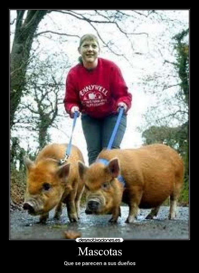 Mascotas - Que se parecen a sus dueños