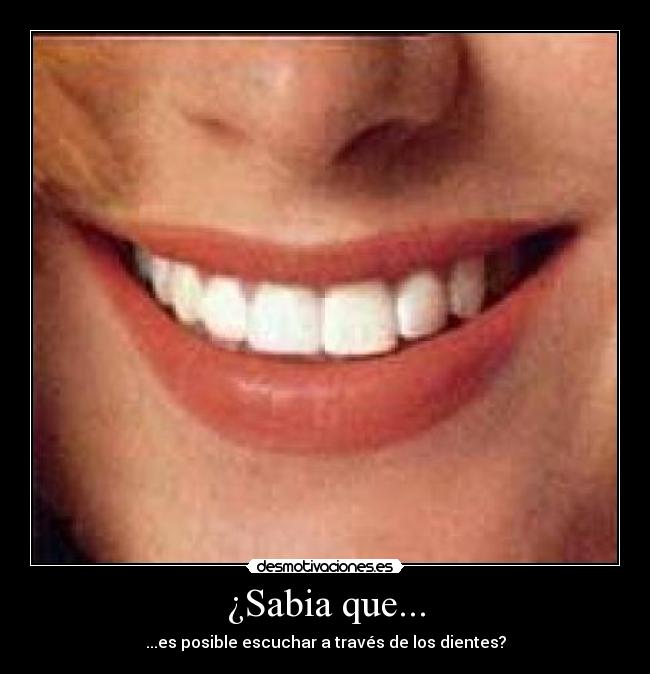 ¿Sabia que... - 