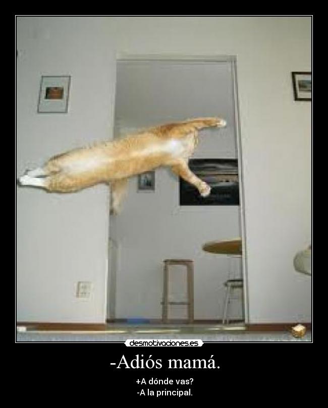 -Adiós mamá. - +A dónde vas?
-A la principal.