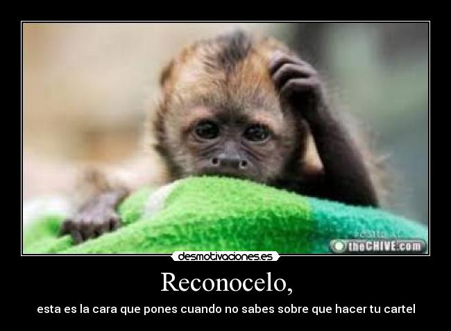 carteles verdad desmotivaciones