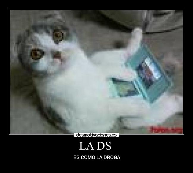LA DS  - 