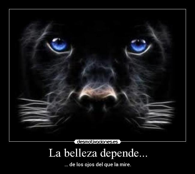 La belleza depende... - ... de los ojos del que la mire.