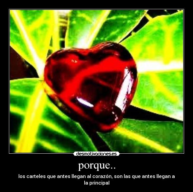 porque.. -