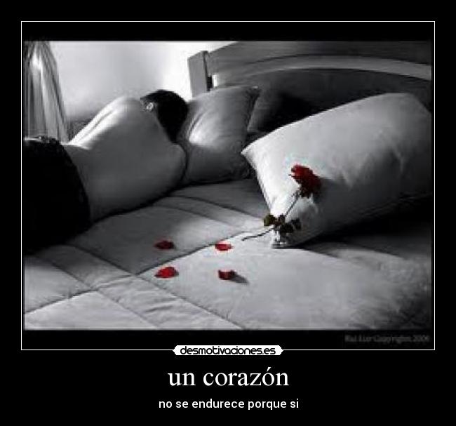 carteles corazon bichiluz_02 desmotivaciones