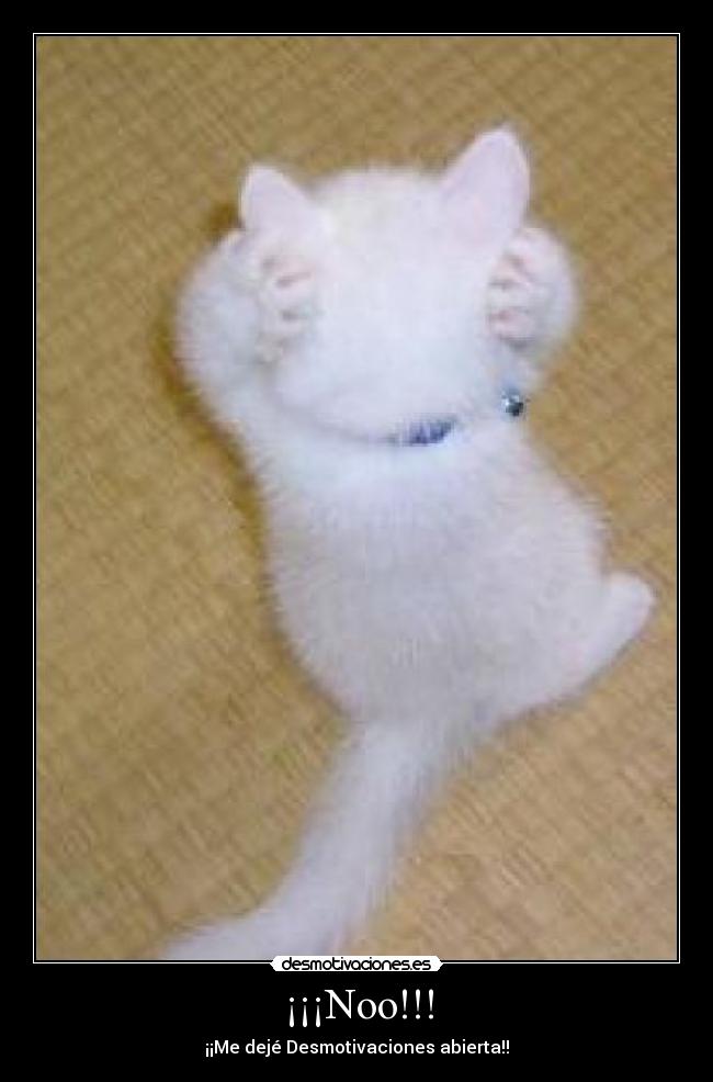 ¡¡¡Noo!!! - ¡¡Me dejé Desmotivaciones abierta!!