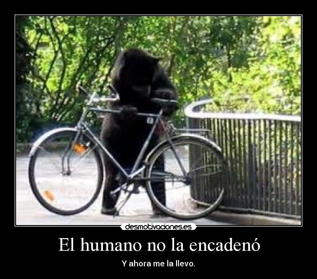 El humano no la encadenó -