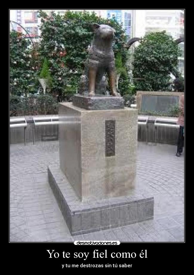 Yo te soy fiel como él - 