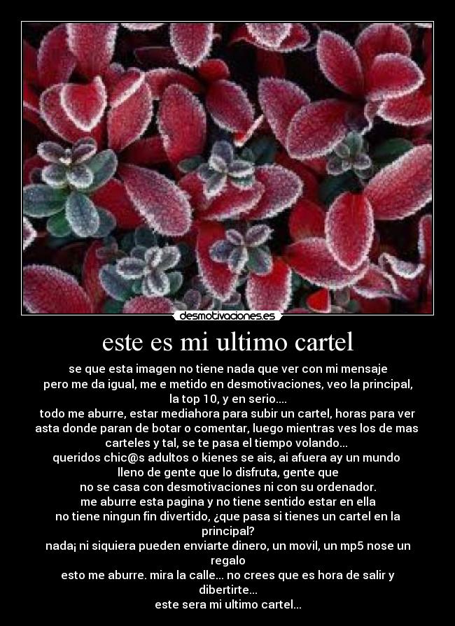 este es mi ultimo cartel - 