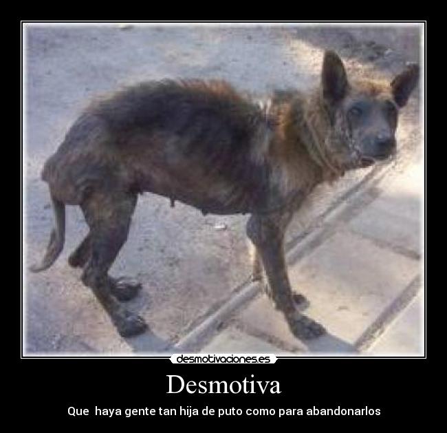 Desmotiva - Que haya gente tan hija de puto como para abandonarlos