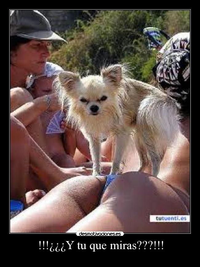 !!!¿¿¿Y tu que miras???!!! -