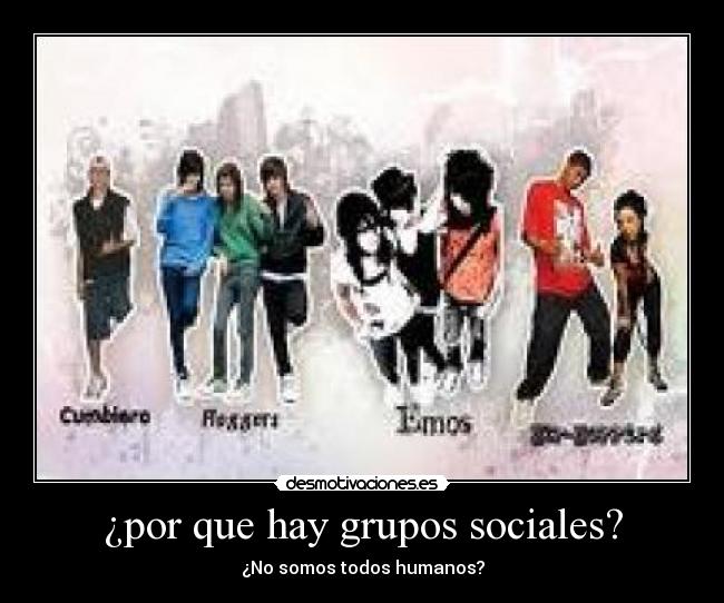 ¿por que hay grupos sociales? - 