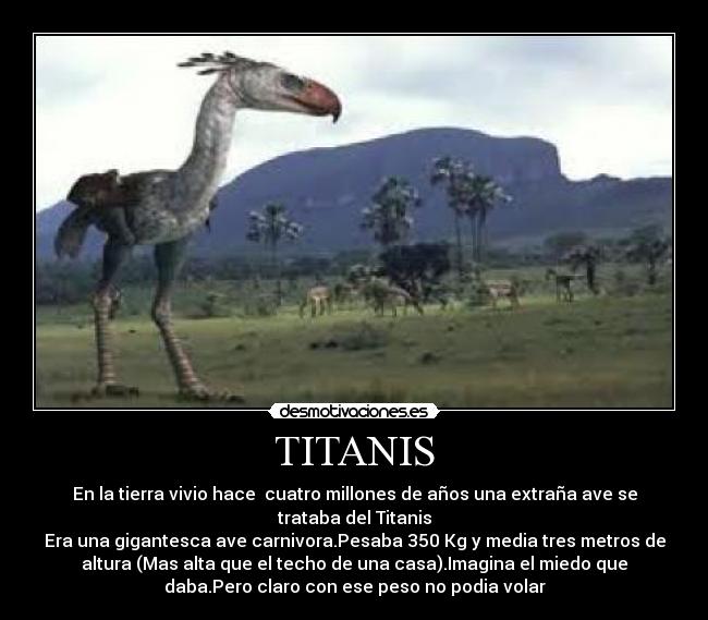 TITANIS - 