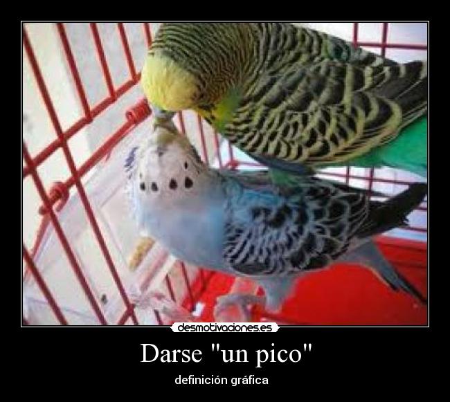 Darse un pico - 
