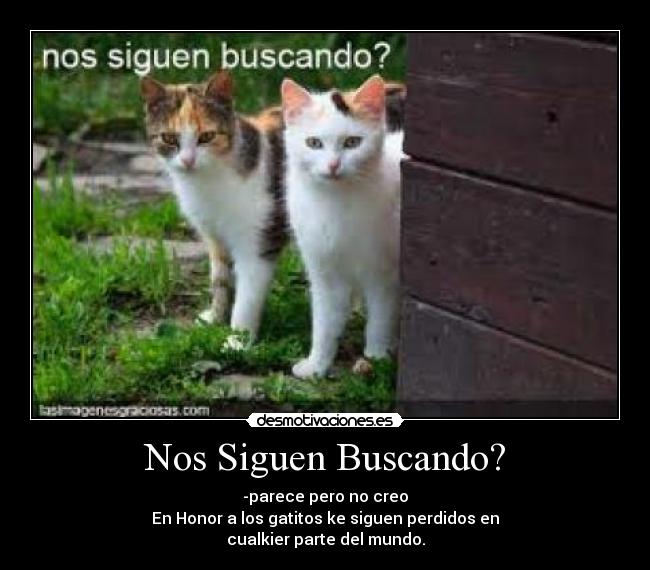 Nos Siguen Buscando? -