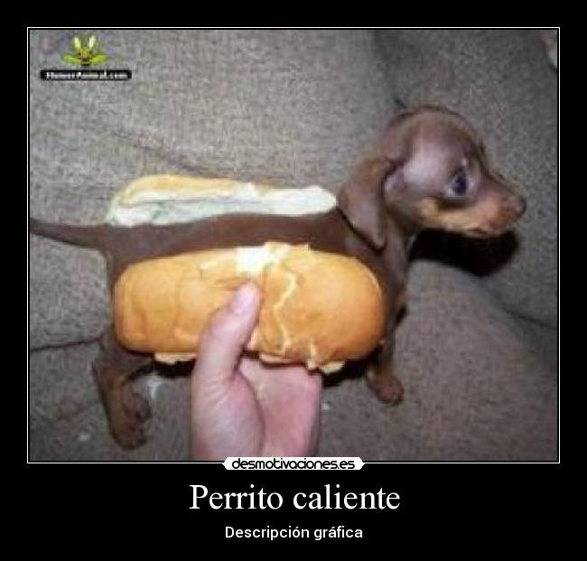 Perrito caliente - 