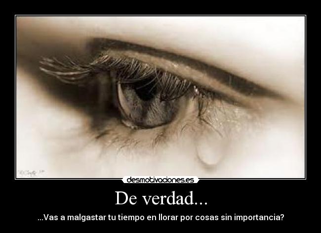 De verdad... - ...Vas a malgastar tu tiempo en llorar por cosas sin importancia?