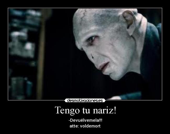 carteles voldemort desmotivaciones