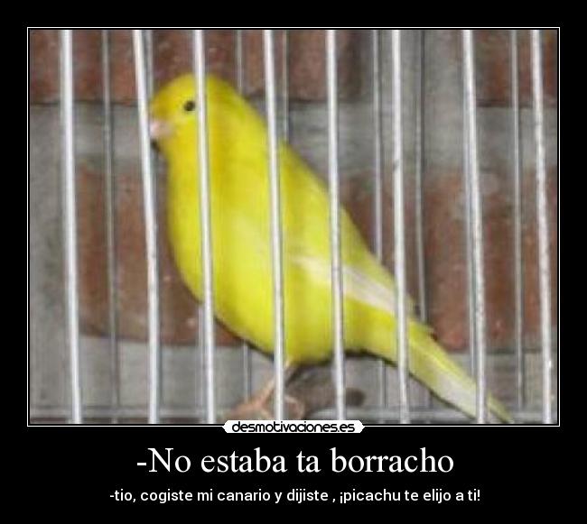 -No estaba ta borracho -