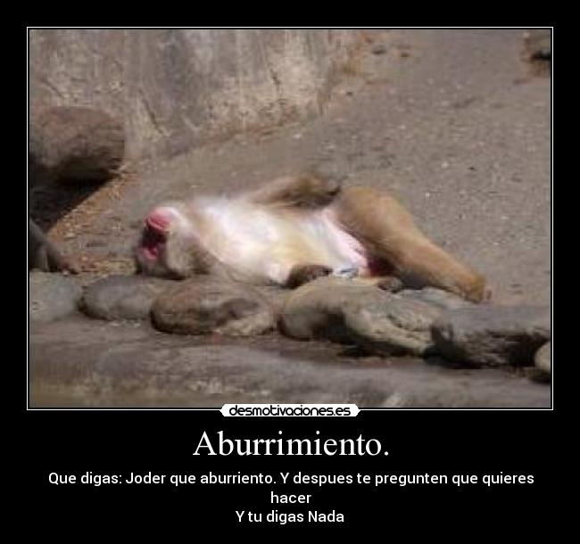 Aburrimiento. - Que digas: Joder que aburriento. Y despues te pregunten que quieres hacer
Y tu digas Nada