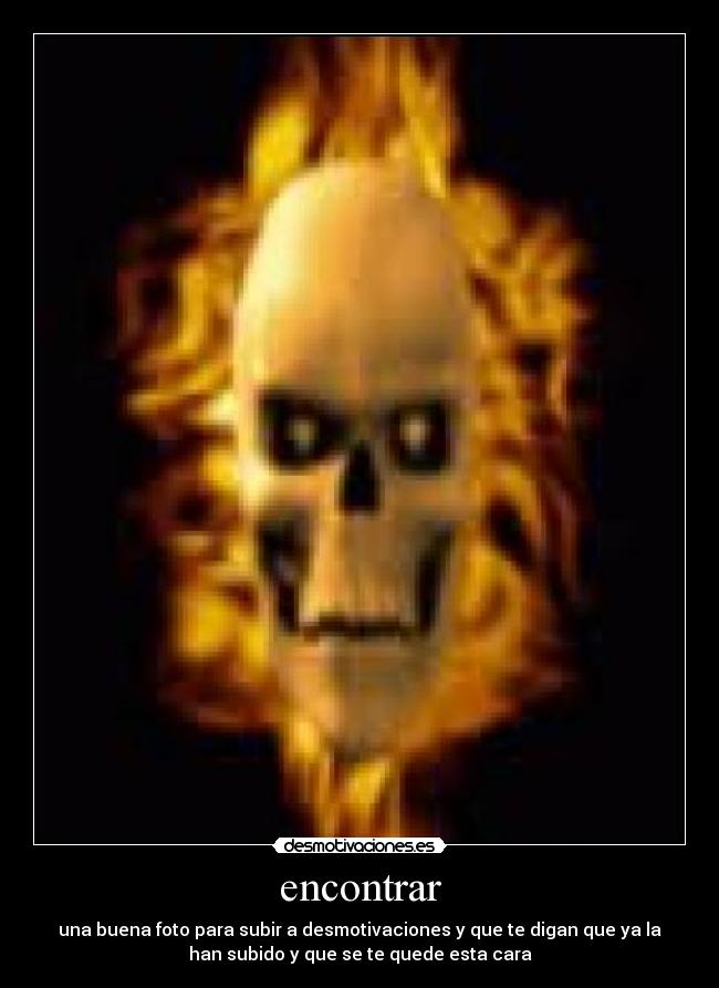 encontrar - una buena foto para subir a desmotivaciones y que te digan que ya la
han subido y que se te quede esta cara