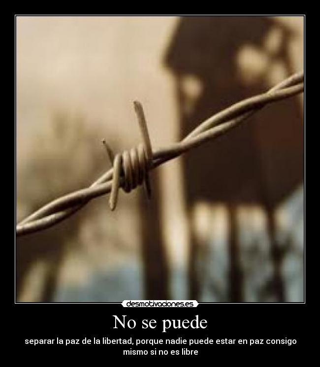 No se puede - separar la paz de la libertad, porque nadie puede estar en paz consigo
mismo si no es libre