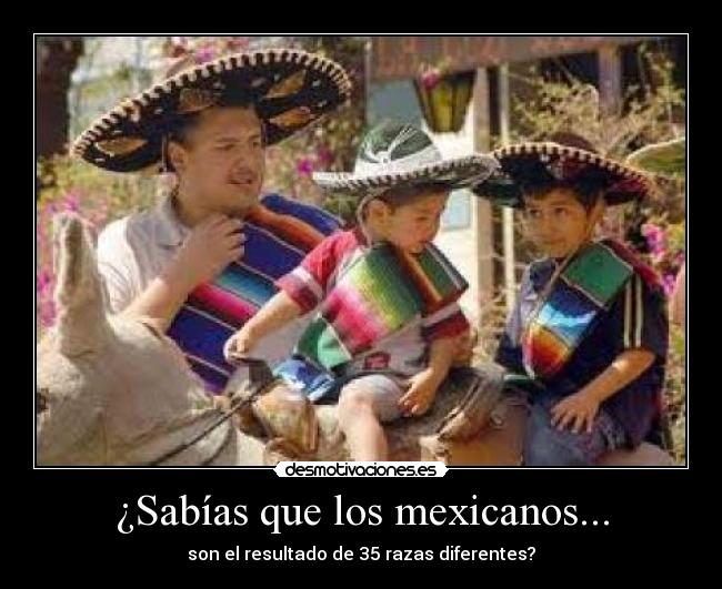 ¿Sabías que los mexicanos... - 