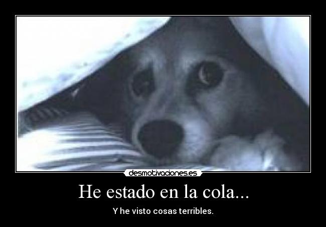 He estado en la cola... -