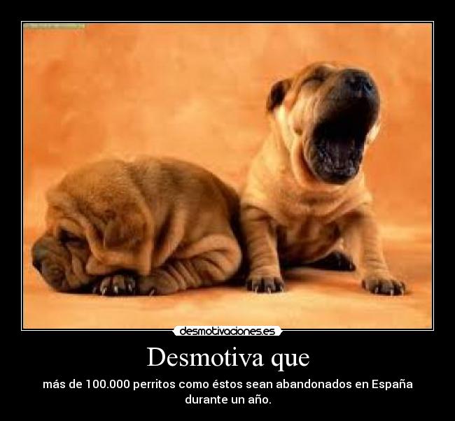 Desmotiva que - más de 100.000 perritos como éstos sean abandonados en España durante un año.