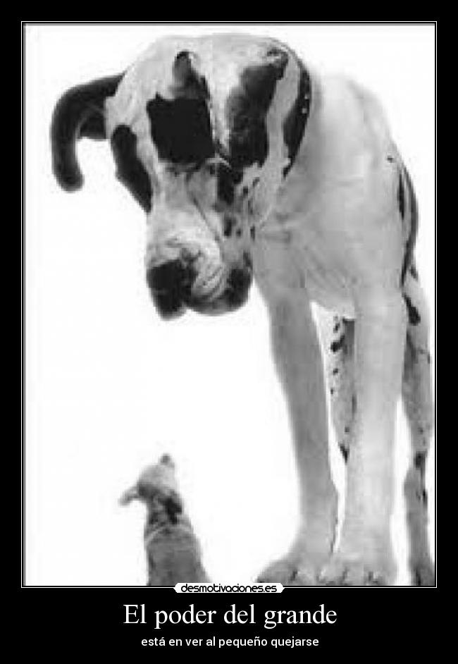 El poder del grande - está en ver al pequeño quejarse