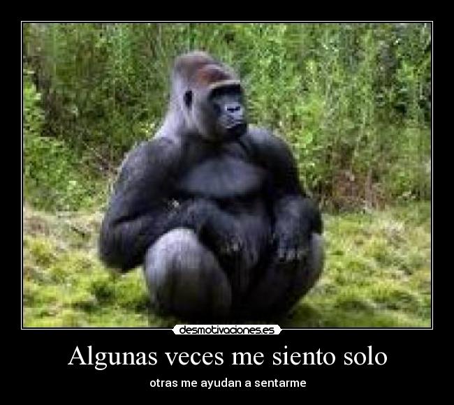 Algunas veces me siento solo - otras me ayudan a sentarme