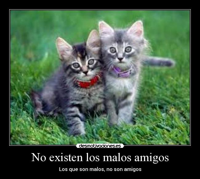 No existen los malos amigos - Los que son malos, no son amigos