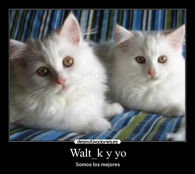 Walt_k y yo - Somos los mejores