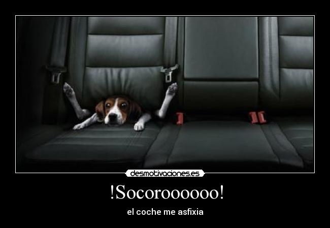 !Socoroooooo! -