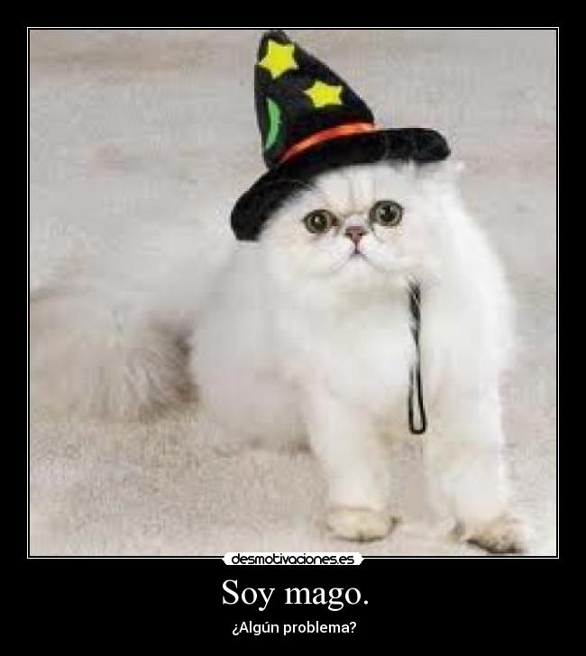 Soy mago. - ¿Algún problema?