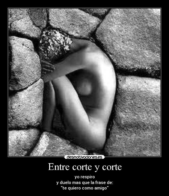 Entre corte y corte -