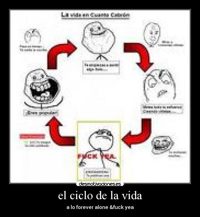 el ciclo de la vida - a lo forever alone &fuck yea