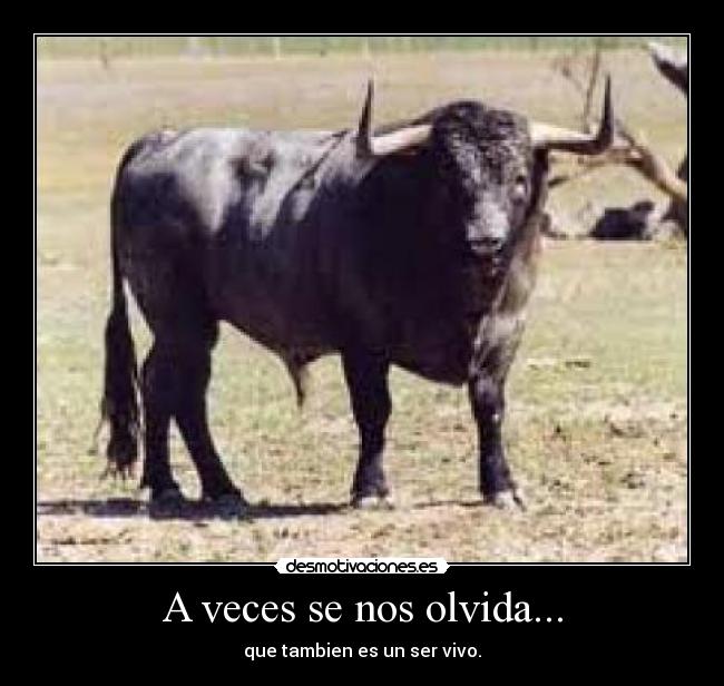 A veces se nos olvida... - 