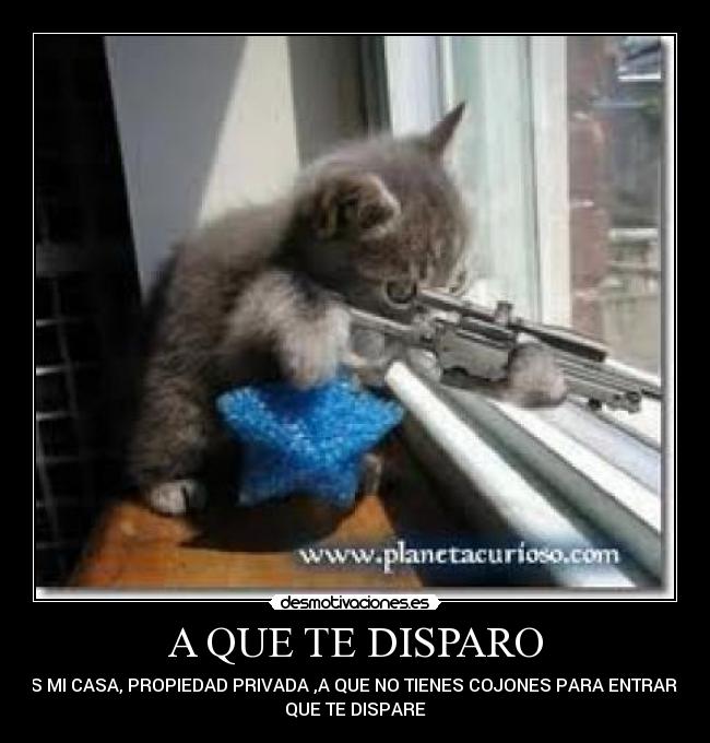 A QUE TE DISPARO -