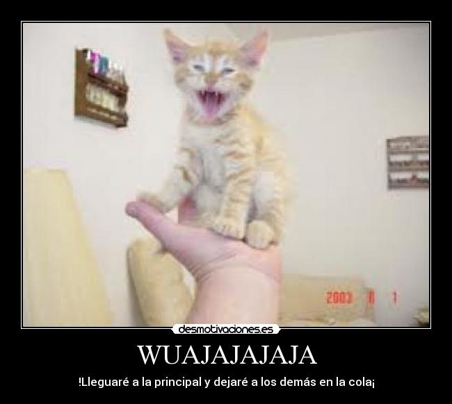 WUAJAJAJAJA - !Lleguaré a la principal y dejaré a los demás en la cola¡
