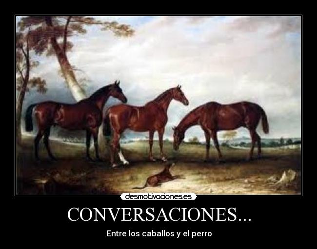 CONVERSACIONES... - 