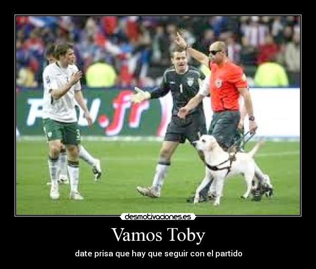 Vamos Toby - date prisa que hay que seguir con el partido